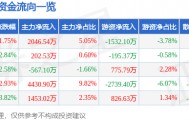 股票行情快报：华懋科技（603306）10月20日主力资金净买入2046.54万元