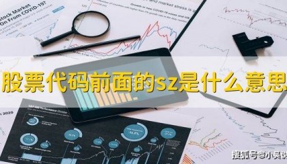 股票代码前的sz啥意思？深圳证券交易所咋买基金？一文讲清
