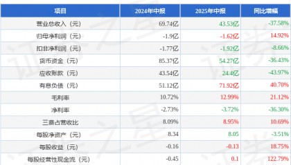 孚能科技（688567）2025年中报简析：亏损收窄