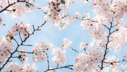 花300给我妈买了台旧冰箱，嫂子笑我，我急了，你孝顺你咋不买