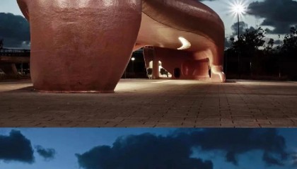 鲸交所(鲸交所官网)