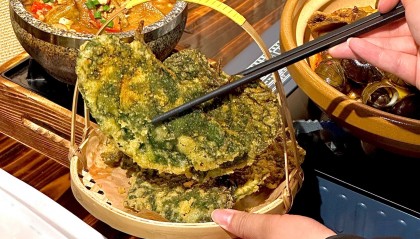 HXEX(胡杏儿学历)