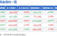 股票行情快报：华懋科技（603306）10月17日主力资金净买入202.53万元