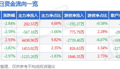 股票行情快报：华懋科技（603306）10月17日主力资金净买入202.53万元