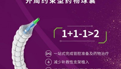 CCFOX(ccfarts官网)