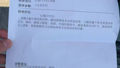女子乘高铁被掉落行李箱砸到，索赔600元无果，箱子主人：已超过我应承担责任范围