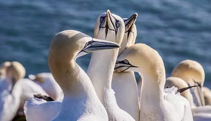 华懋科技股价微涨0.45% 新疆新材料公司正式成立