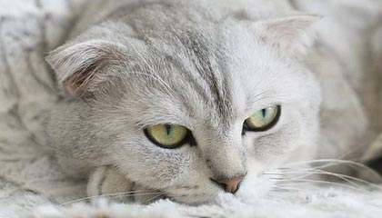 合肥调整住房公积金缴存基数和比例