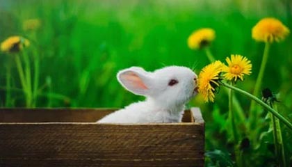 孚能科技股价微涨0.88% 7月私募调研频次达42次