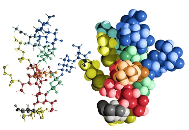 【百欧泰生物】单糖组分分析:从分子层面探秘糖类