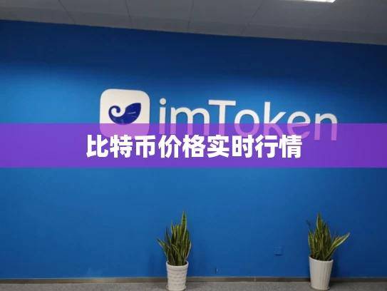 2025最新比特币价格实时行情分析与解读