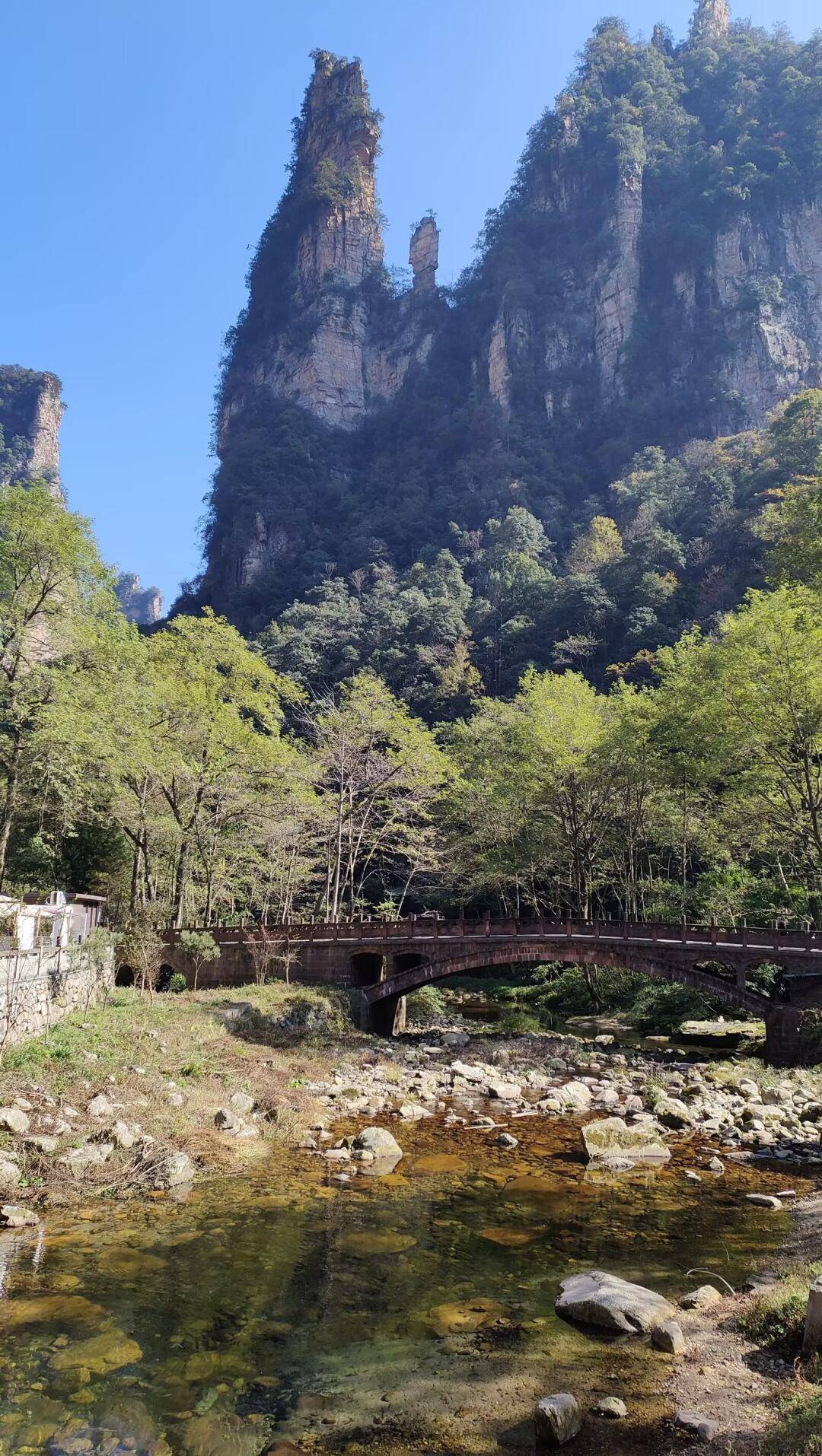 关注!长春到张家界旅游报价,最新价格信息