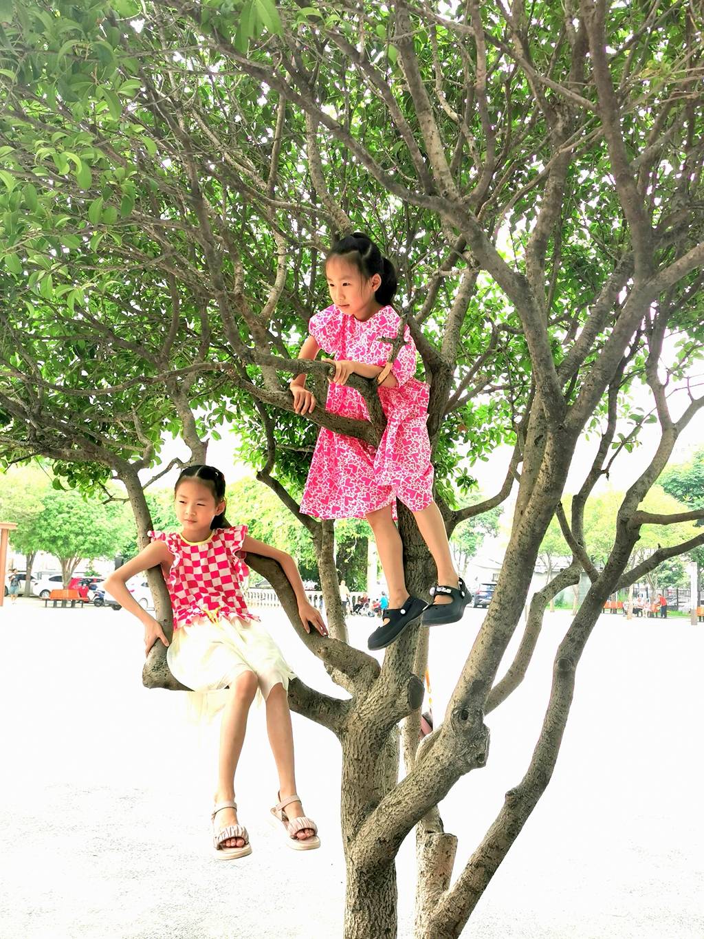 小区广场上的童趣