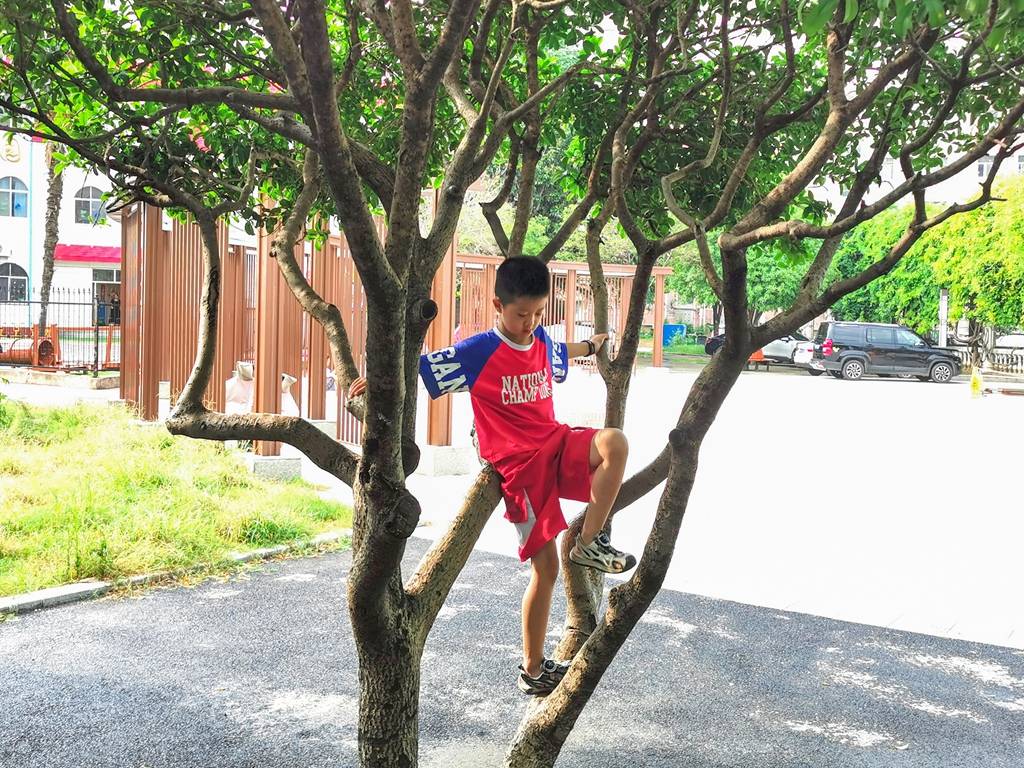 小区广场上的童趣