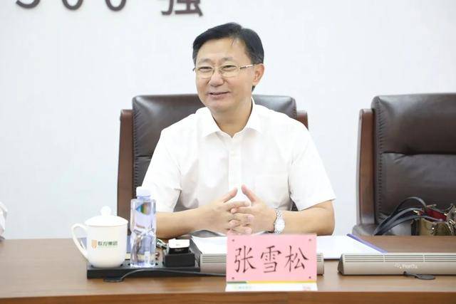 张雪松,隐瞒不报家庭房产