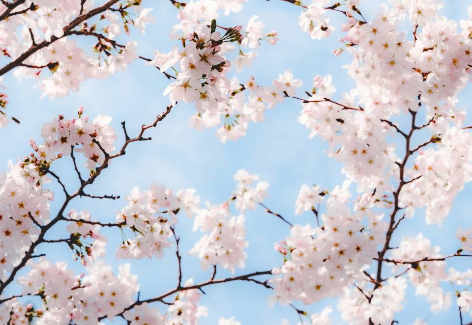 花300给我妈买了台旧冰箱,嫂子笑我,我急了,你孝顺你咋不买