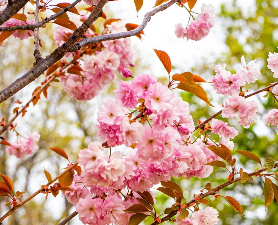 花300给我妈买了台旧冰箱,嫂子笑我,我急了,你孝顺你咋不买