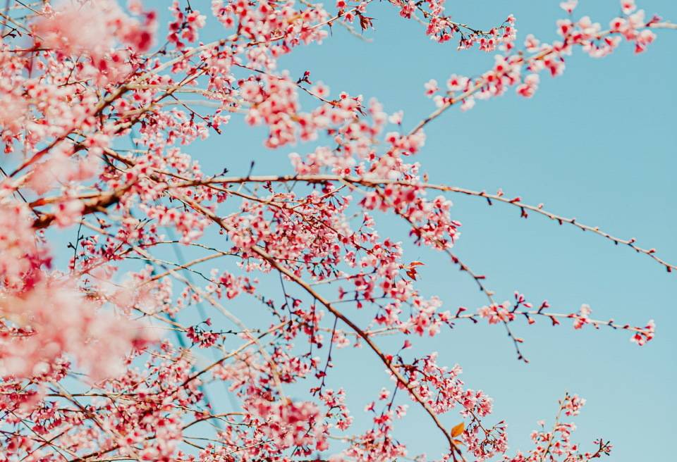 花300给我妈买了台旧冰箱,嫂子笑我,我急了,你孝顺你咋不买