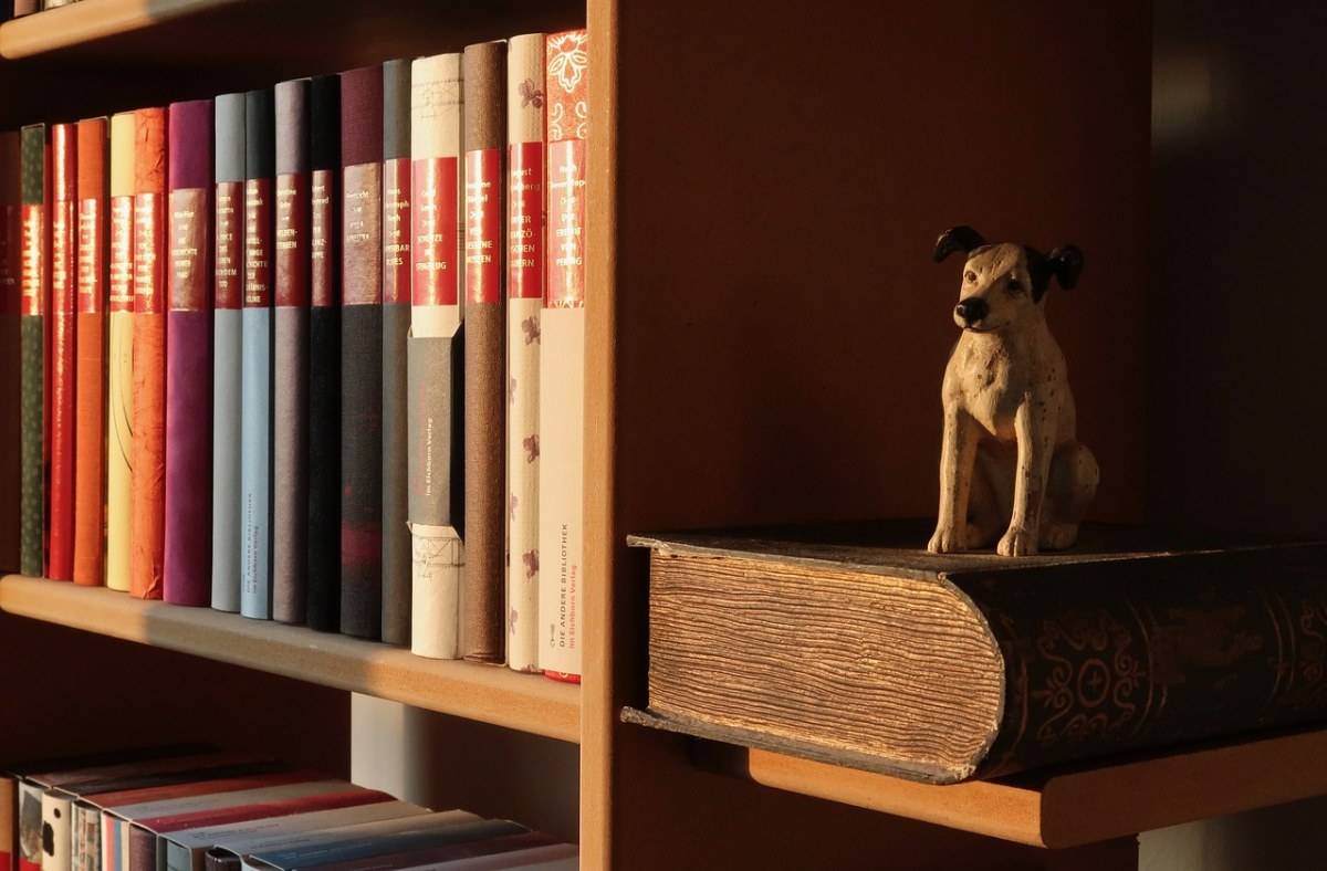 东方通（300379）股票索赔指南：亏损股民如何维权？