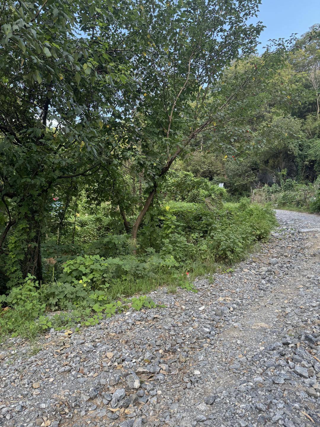 “女子接触氢氟酸后死亡”事发地:山上曾有工厂,附近有居民种菜