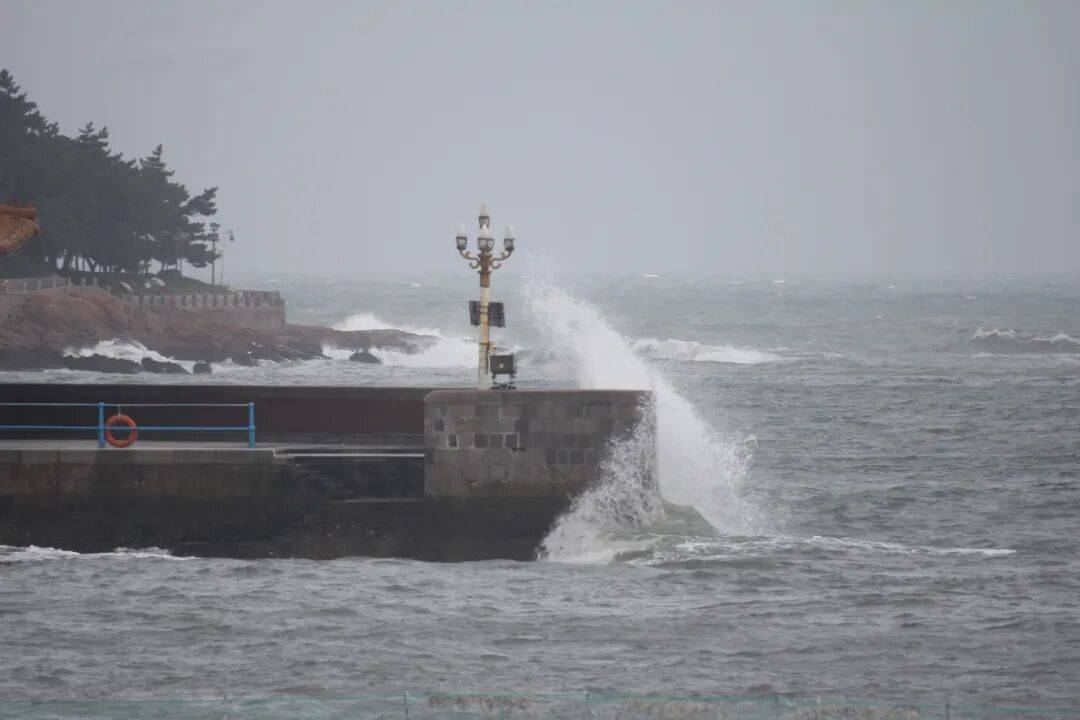 暴雨、大风、大浪来袭!青岛市发布防汛预警!