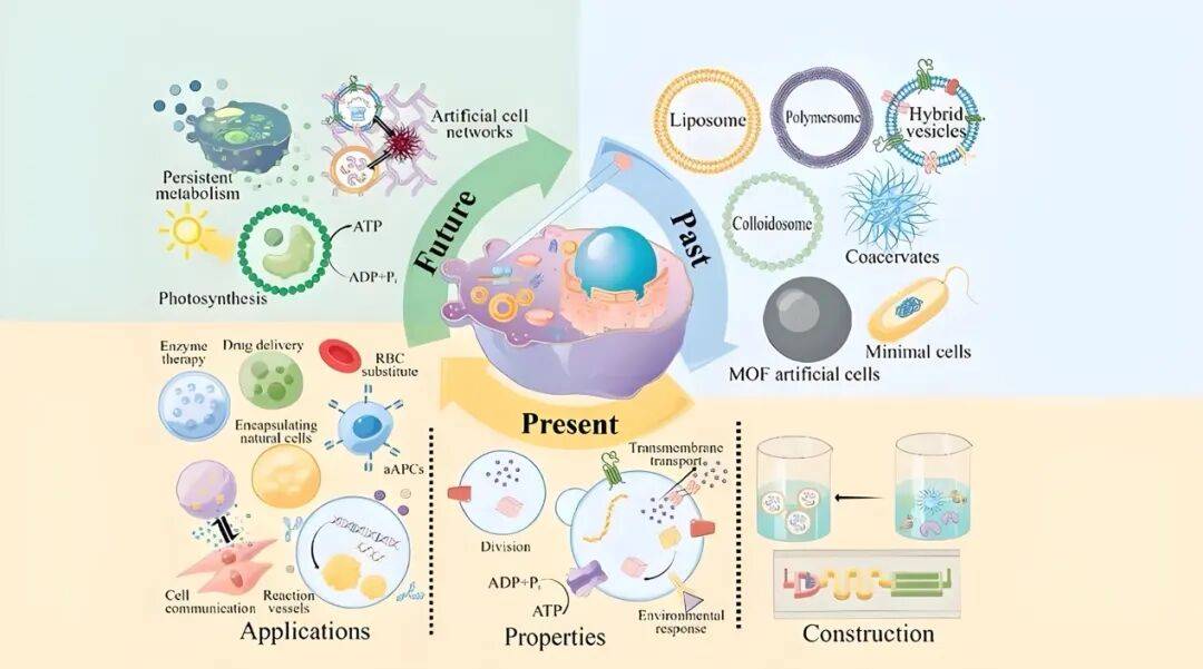第三次生物科学革命爆发前夜，华熙生物整装待发