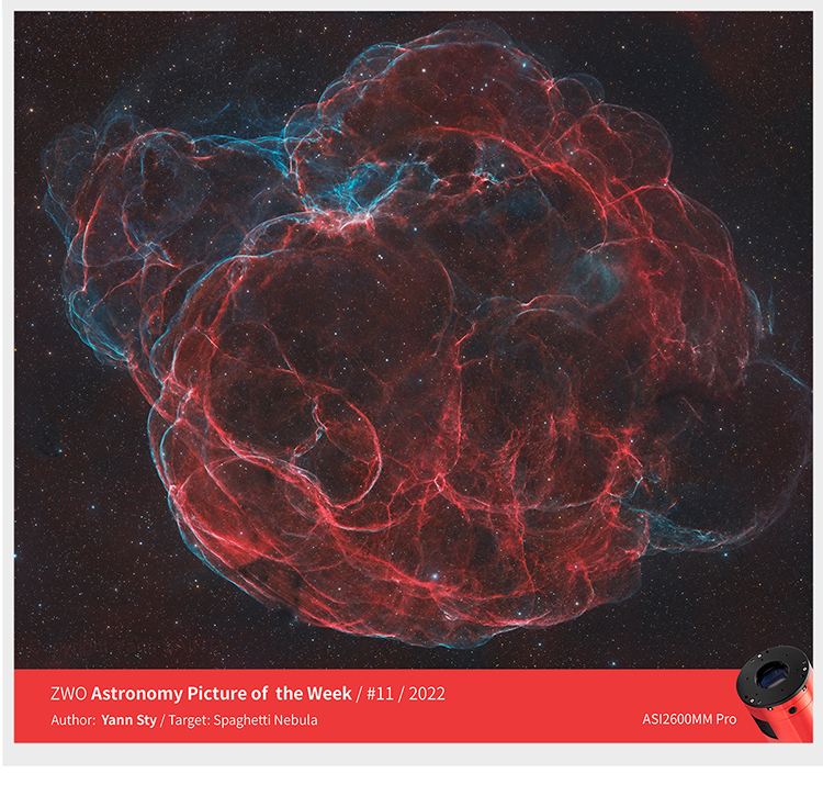 Bit-MC(bitmcre) Bit-MC(bitmcre)