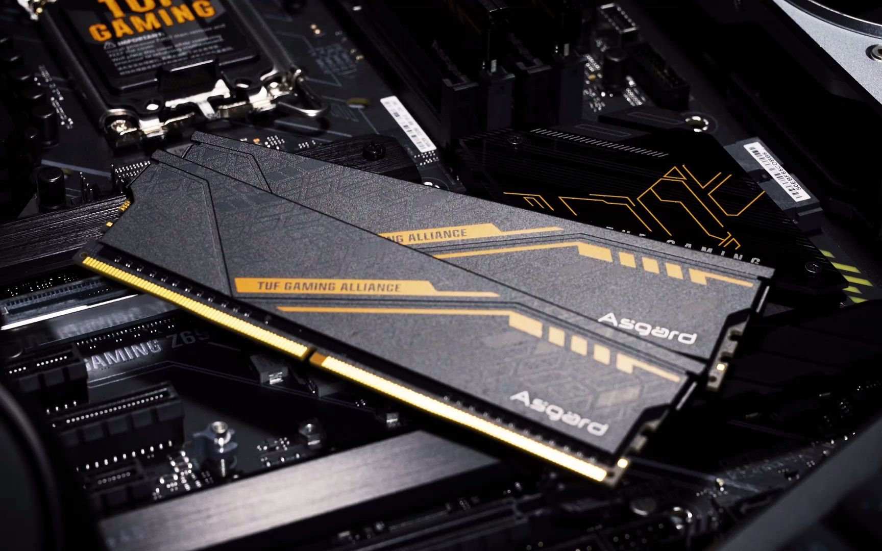 EXcash(恶性肠癌术后能活几年) EXcash(恶性肠癌术后能活几年)