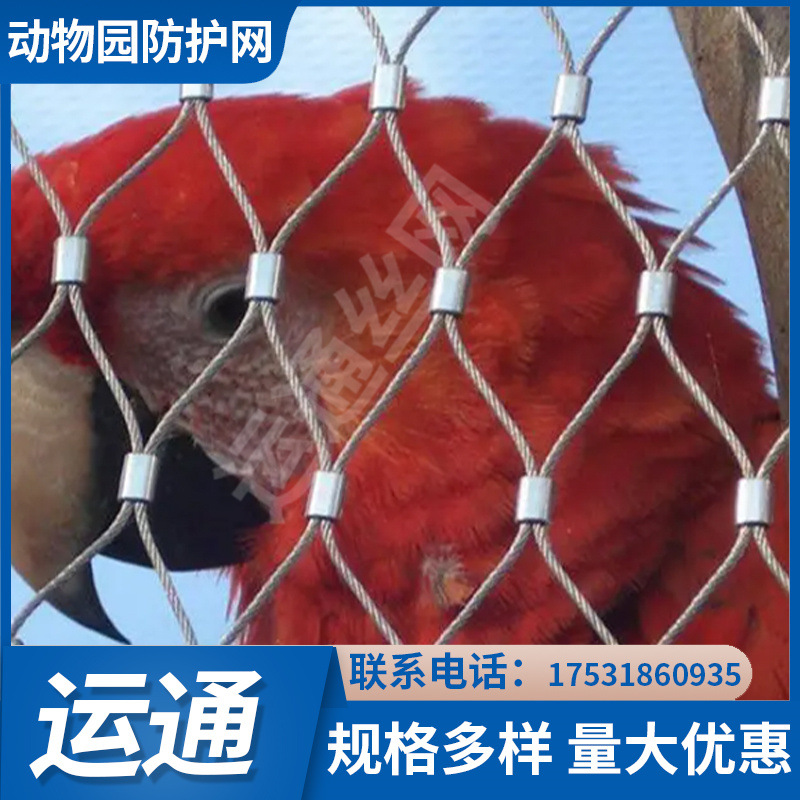 A网(阿旺夫妇电影)